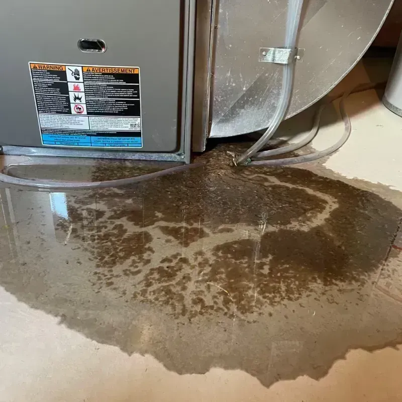 Appliance Leak Cleanup in Mignon, AL